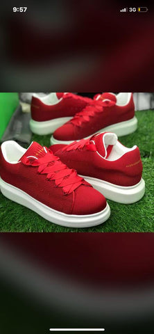 Alexander portable shoe
